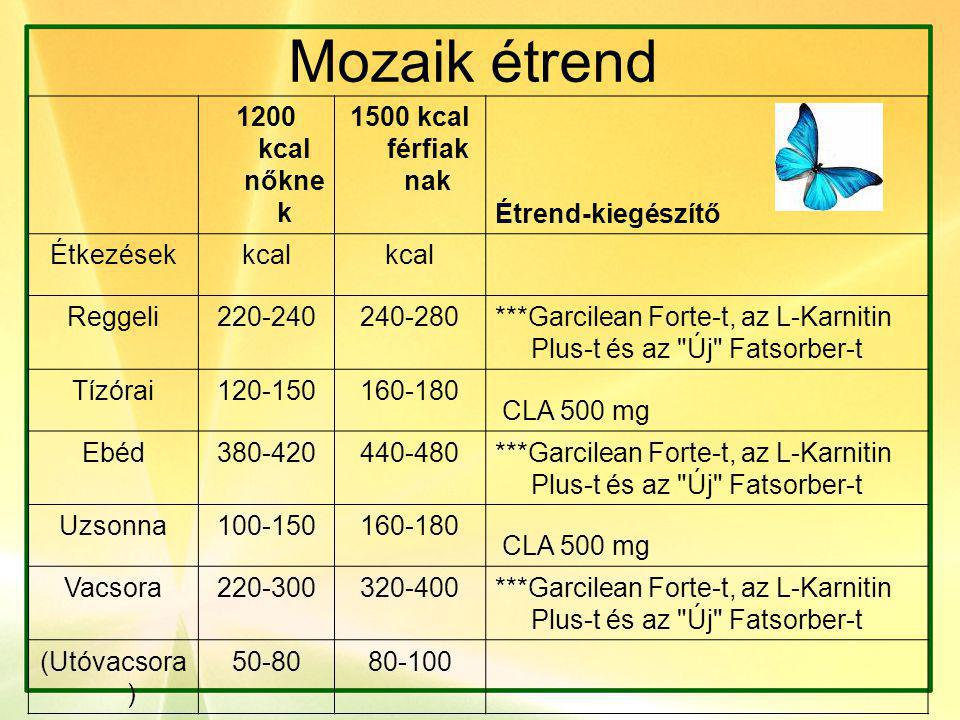 Testépítő diétás étrend - Egész napos természetes testépítő diéta és étrend. - keresooptimalizalas2011.hu